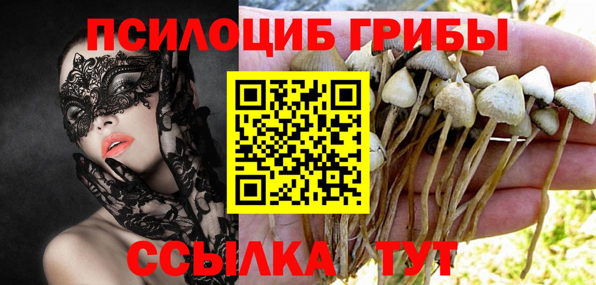 Чистополь  Псилоцибиновые грибы прущие грибы  Вход с VPN 